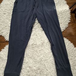 Pair of Thieves jogger pants  Xl on tag  There’s a little hole as seen in the last picture