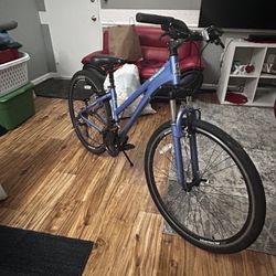 Schwinn Ladies Street Hybrid Bike