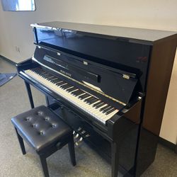 Pearl River Piano New 