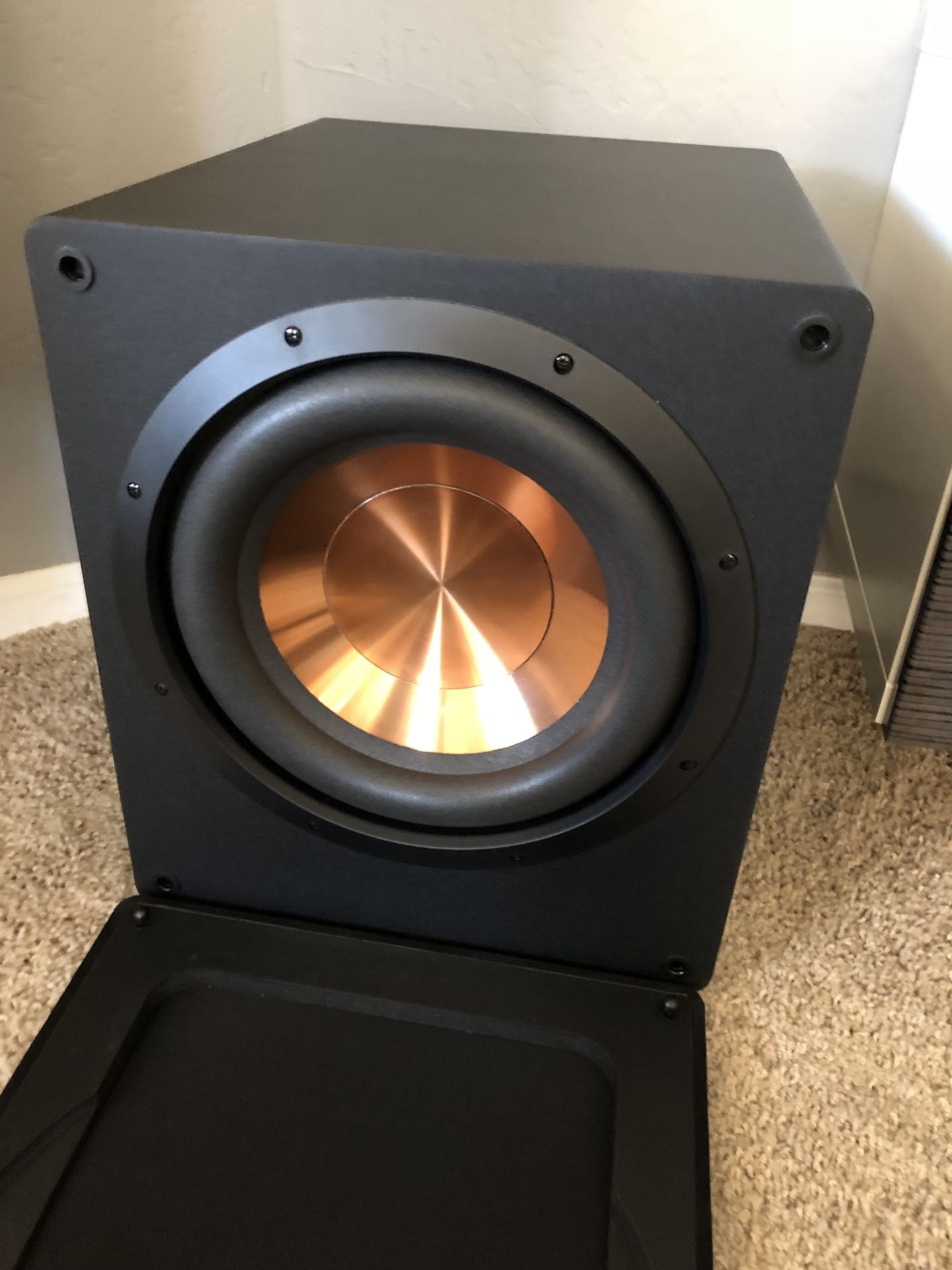 NGX 12 inch 500 Watt Subwoofer