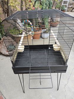 Bird Cage