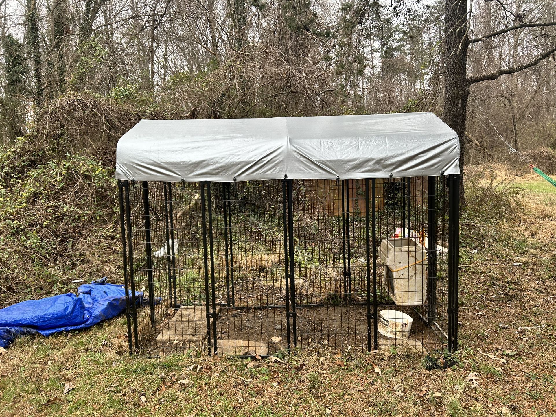 Dog Cage