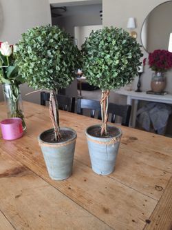 Small trees