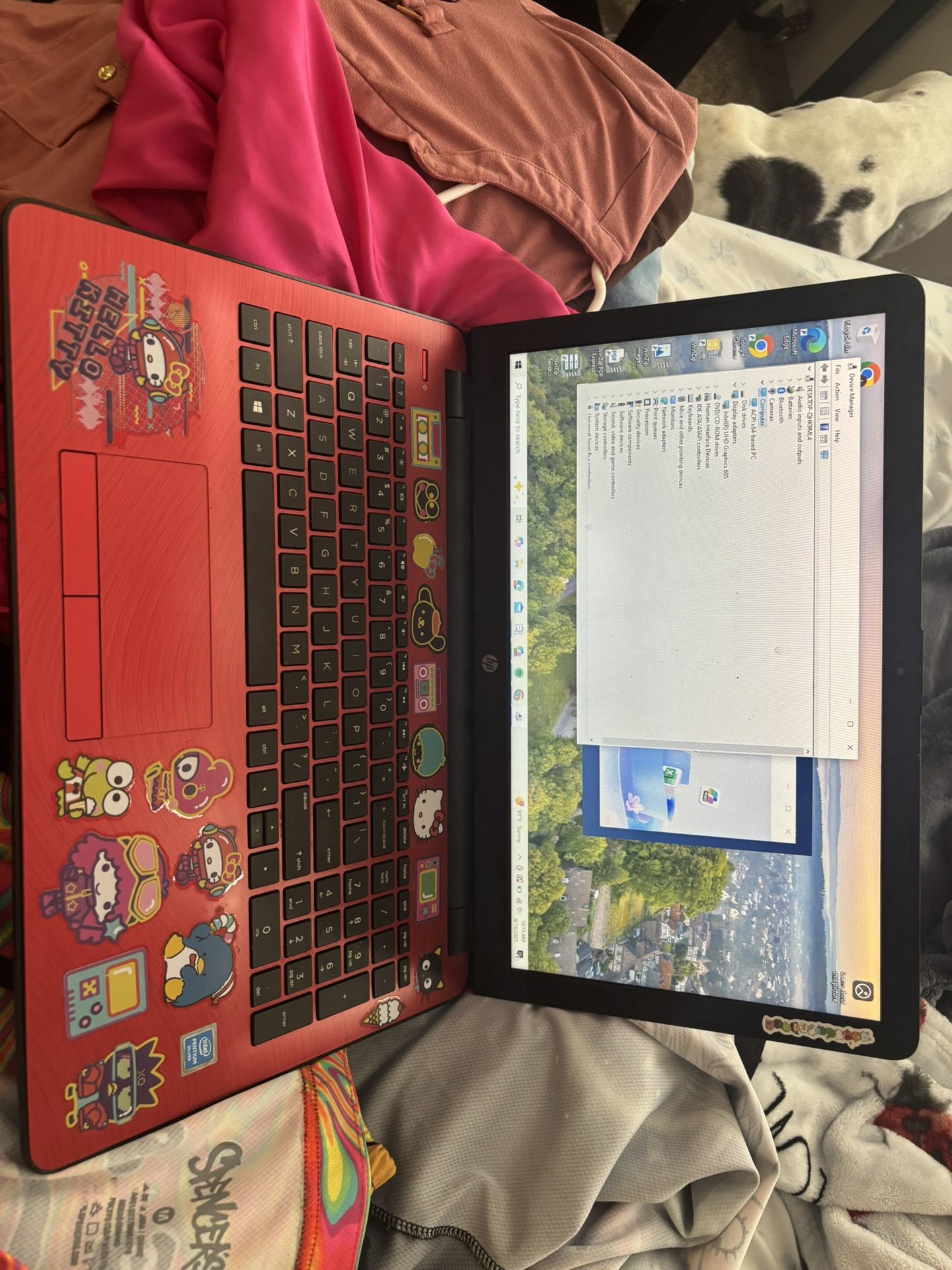 hp laptop