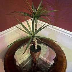 Artificial House Plant In Pot