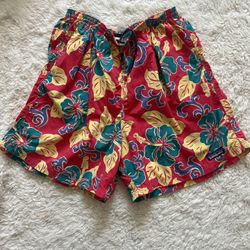 Vintage Patagonia Shorts 