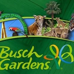 Busch Gardens 