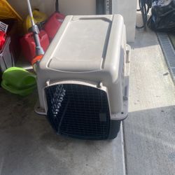 Dog Kennel