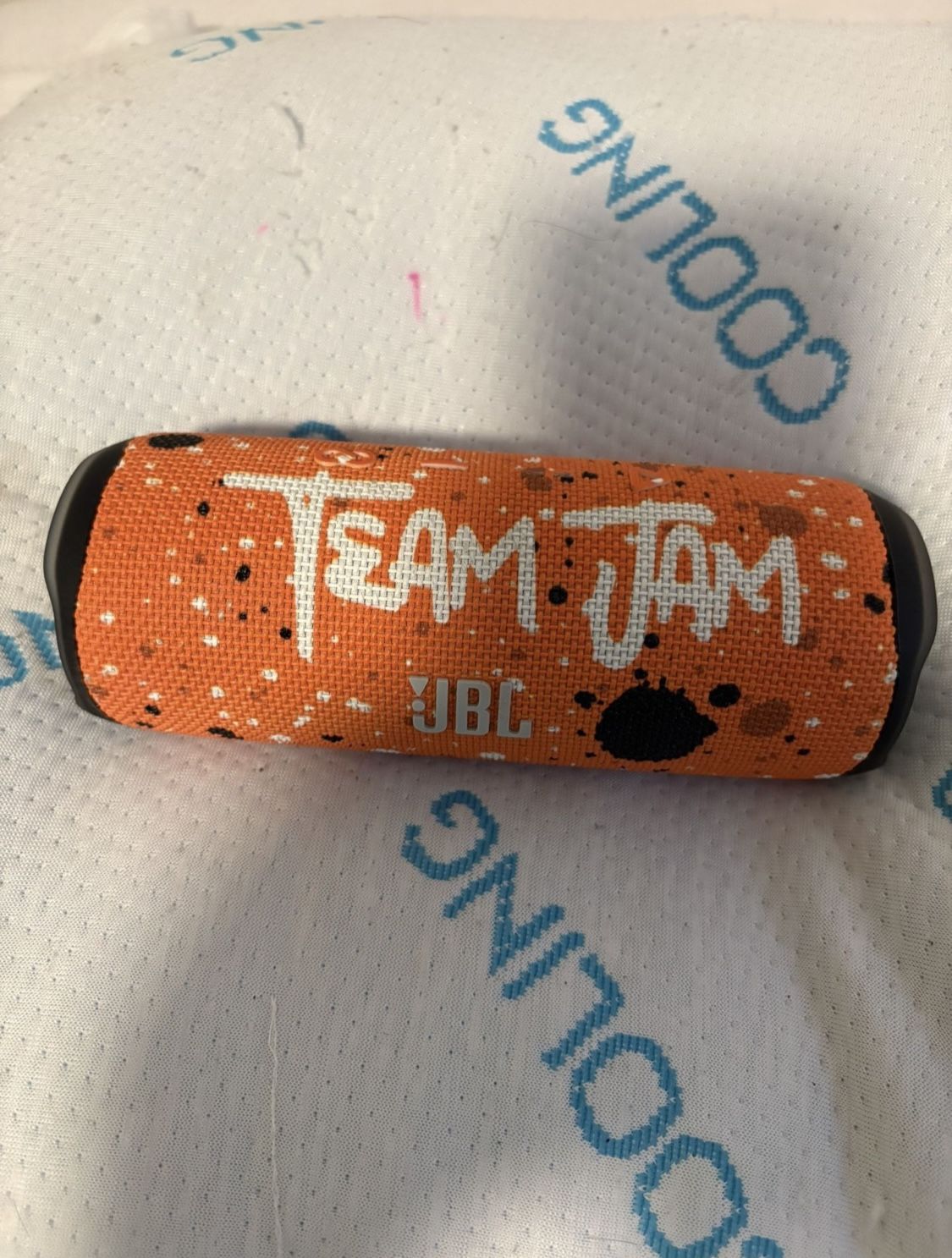 Rare Custom Team Jam JBL Flip 6