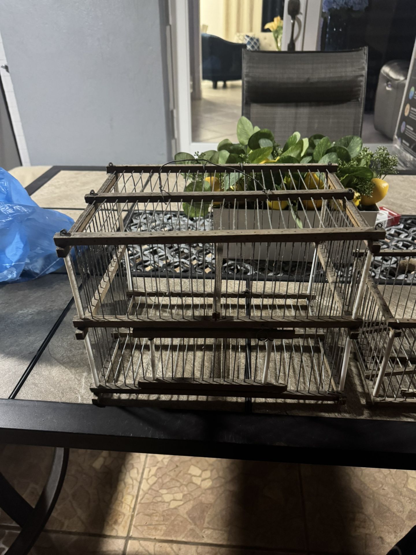 Bird Cage