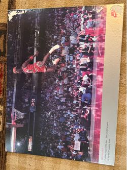 Michael Jordan poster