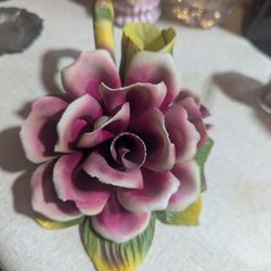 Porcelain Rose