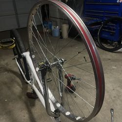 Chrome Front Rim
