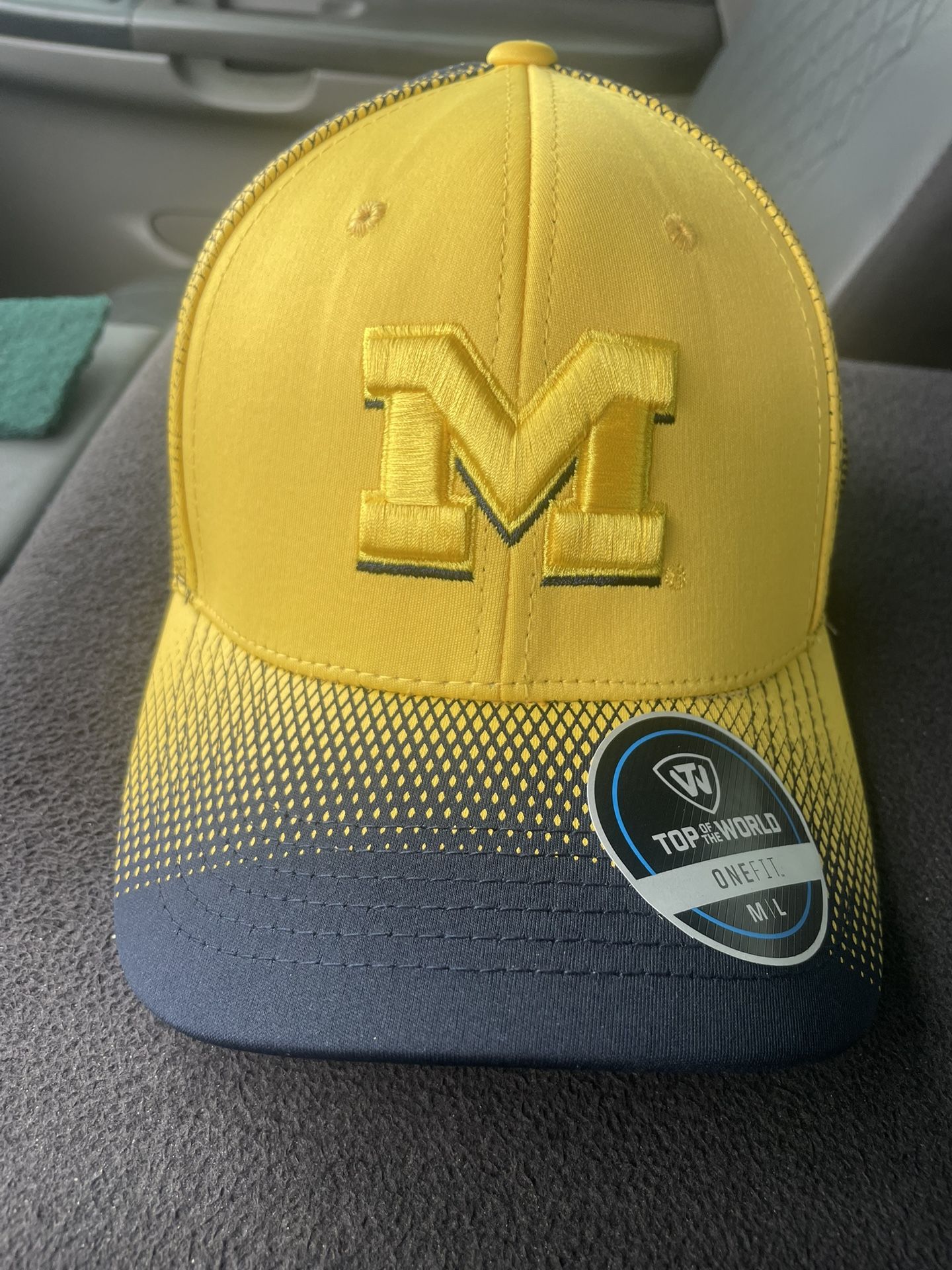 Michigan Wolverines Hat
