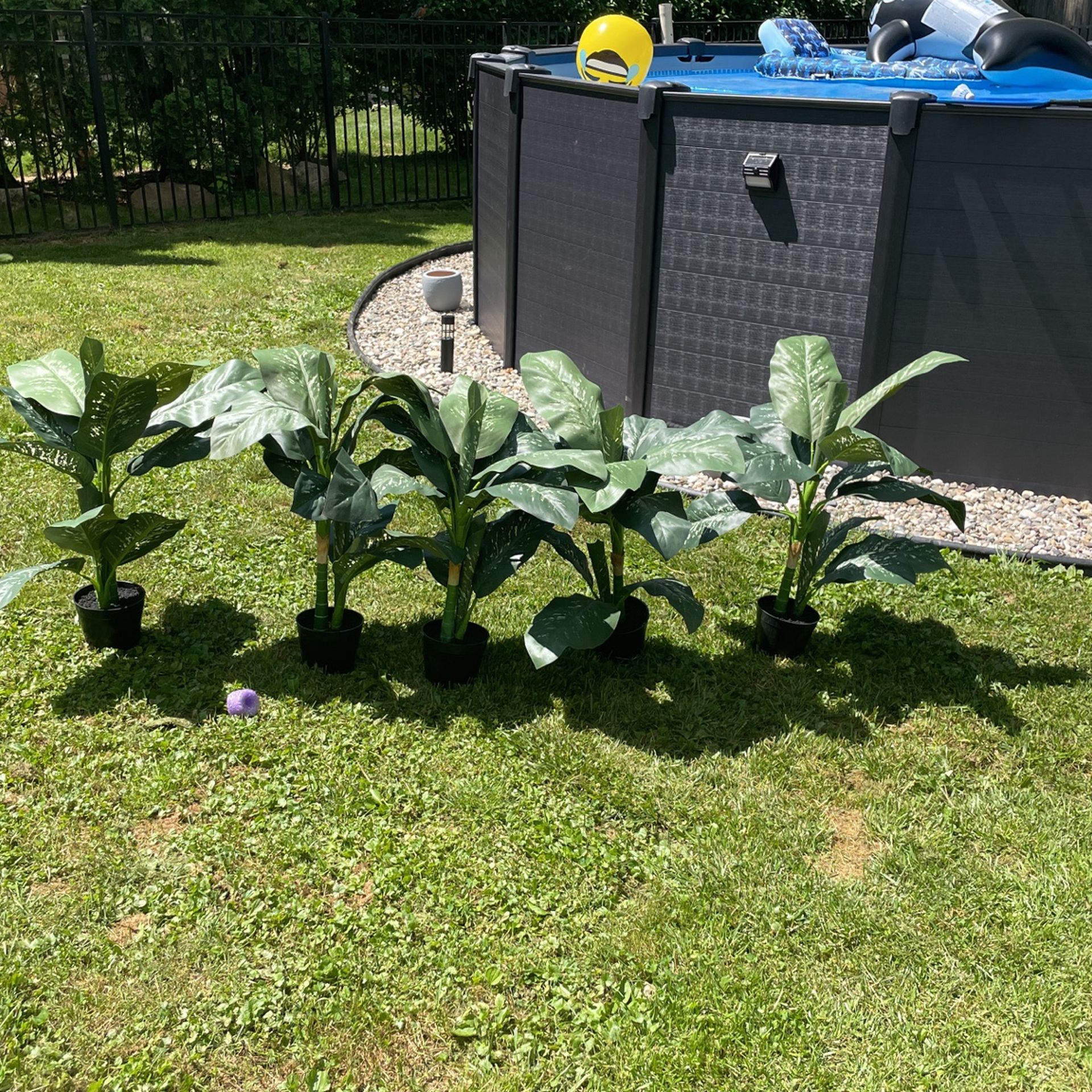 Fake Plants