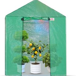 Portable Walk-in Greenhouse Indoor and Outdoors Plants Garden Greenhouse Canopy 6.6'x6.6' roll Zipper Entry Door and Floor Beam Constru