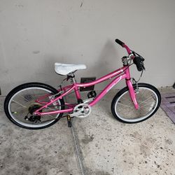 Specialized Hotrock Street 20 inch Girls Bicycle-Ready to Ride!