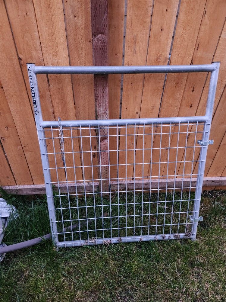 Gate/ Animal