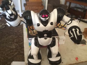 Walking talking robot