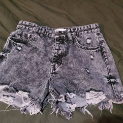 Vervet High Rise Short (L)