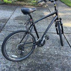 Giant Comfort Series Bike