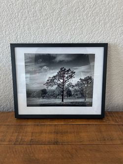 Framed Black and White Landscape Photograph