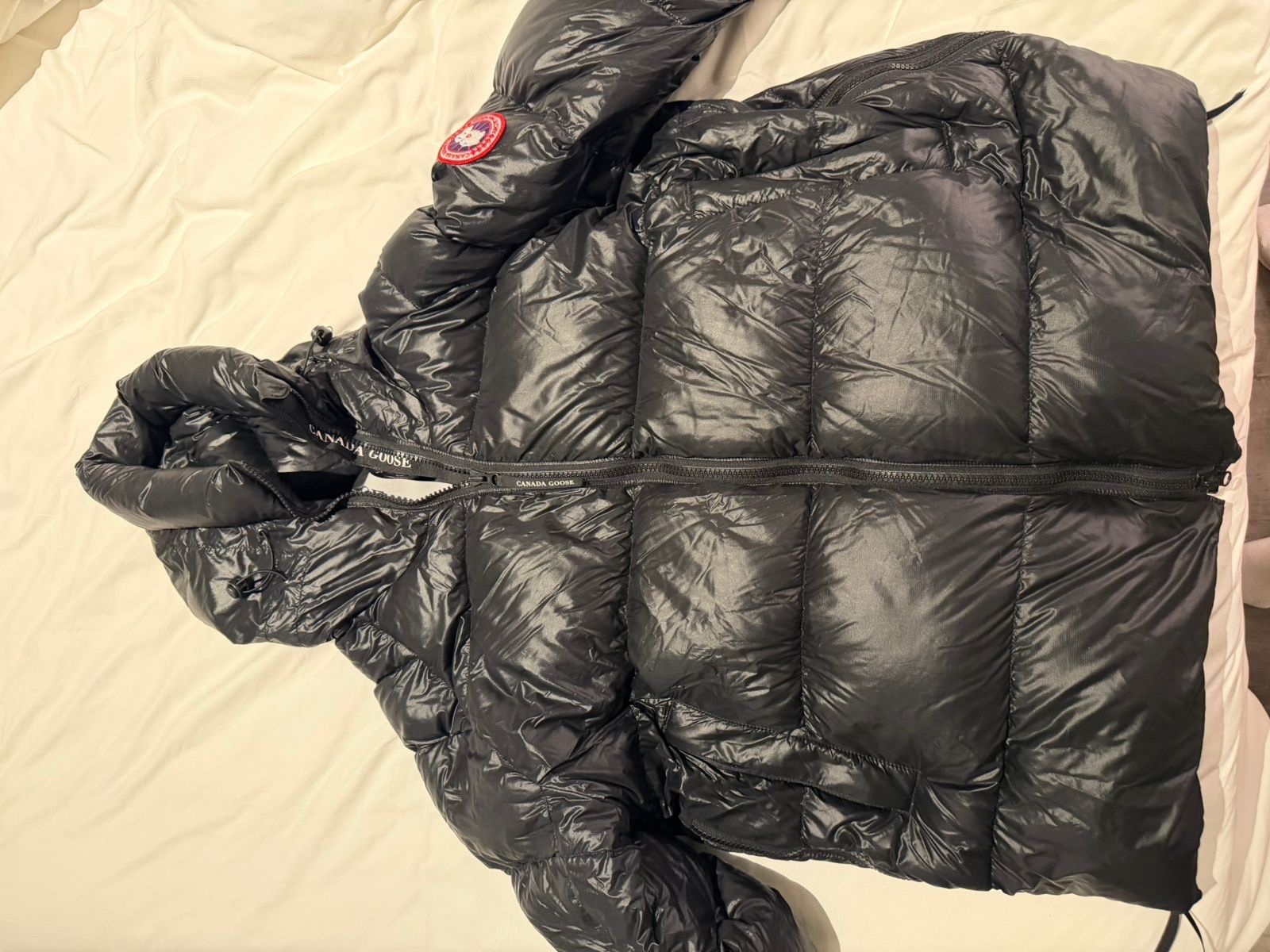 Canada goose cypress puffer