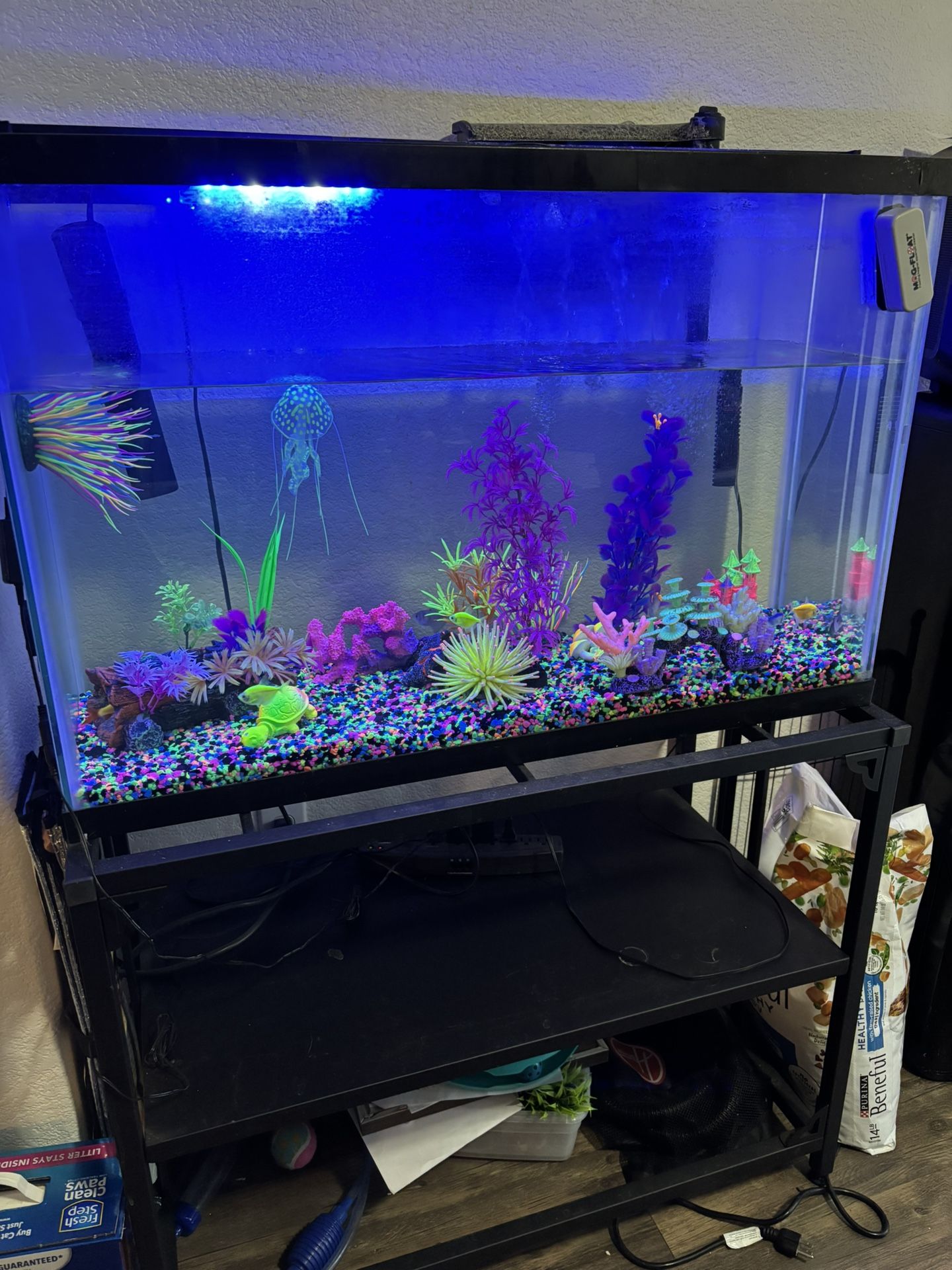 40 Gallon Fish Tank And Stand