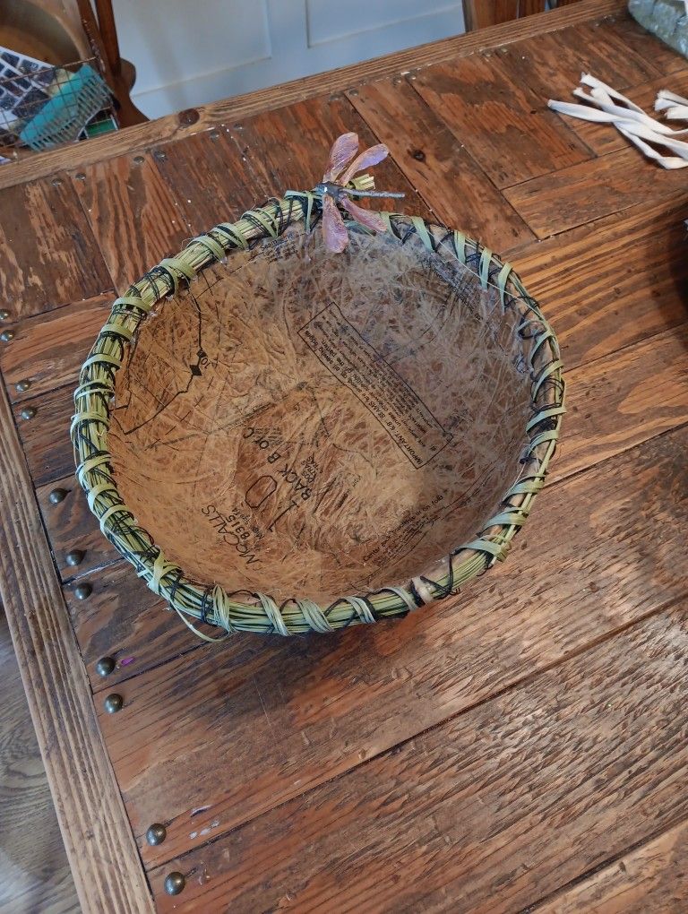 Paper Bowl With Dragonfly