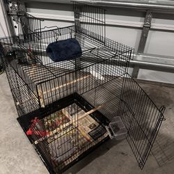 Bird Cage