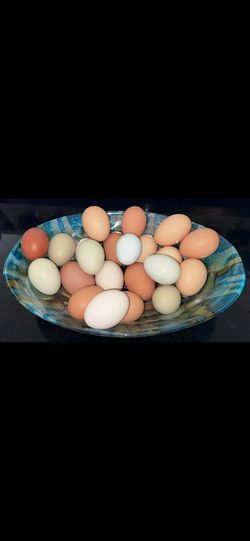 FRESH EGGS