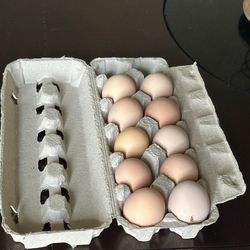 Eggs, Fresh Local Raised 