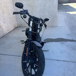 Harley Davidson , Black 883 
