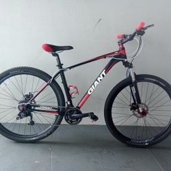BICYCLE GIANT 21 SPEED SIZE-29 BRAND NEW 