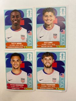 FIFA world cup card