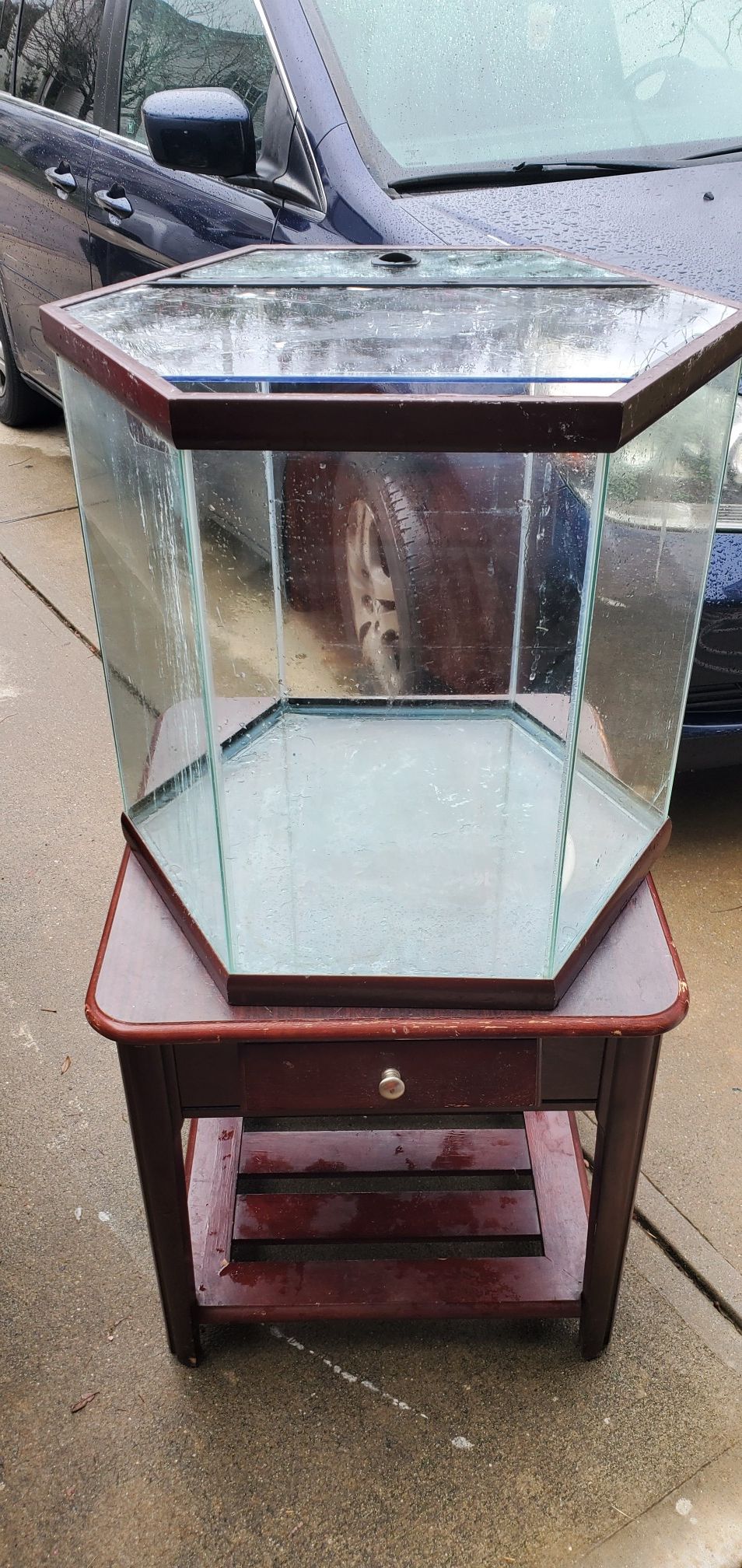 55 Gallon Hexagon Aquarium Fish Tank With Stand and accessories