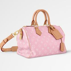 Louis Vuitton Speedy Bag 30