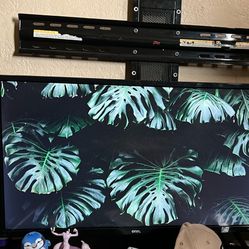 32 In On Roku Smart Tv 