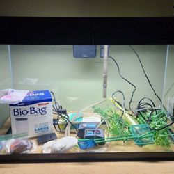 29 Gallon Tank/Aquarium/Vivarium/Terrarium 