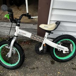 Toddler Bicycle 