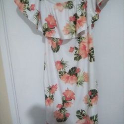 Lady's Dress 