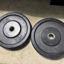 45LB WEIGHT PLATES 