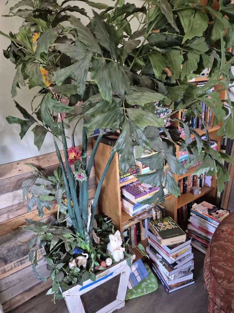 Plant