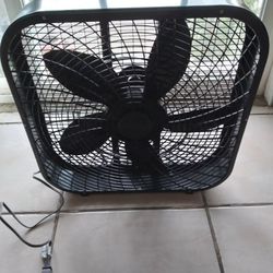 Fan