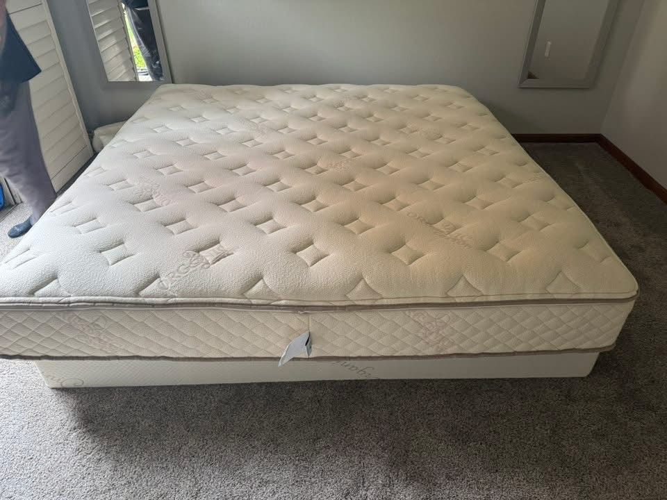 Plushbed Organic Latex Botanical Bliss 10” Queen