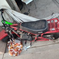 Mini Bike