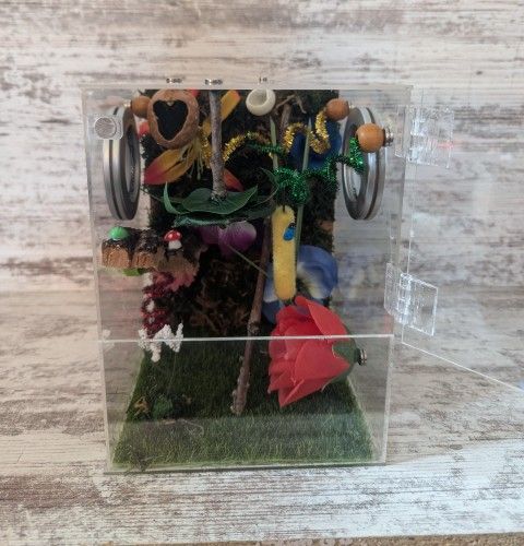 Jumping Spider Enclosure For Sub Adult or Adult
