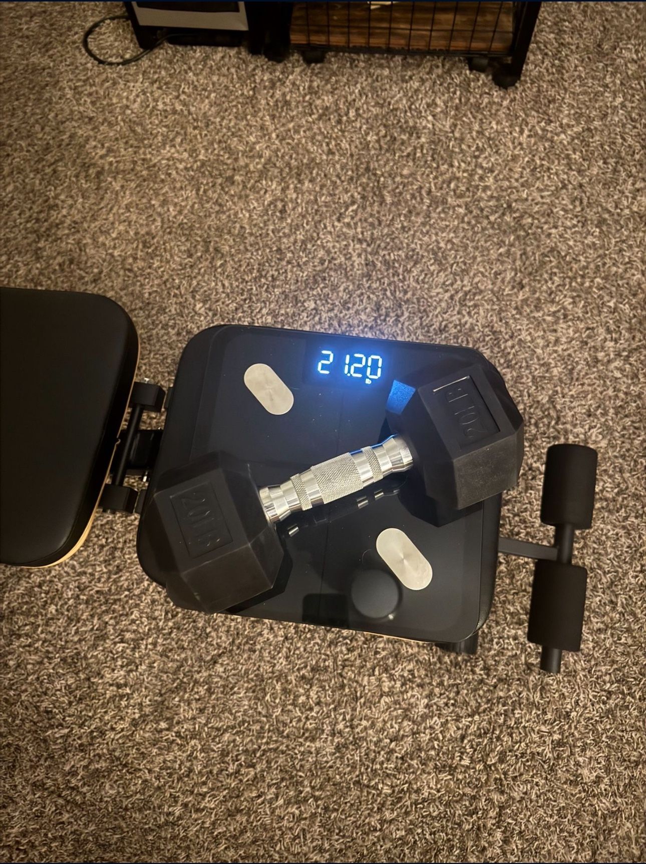 Weight Scale