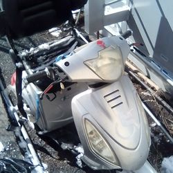 Scooter For Sale 500 Or Best Offer