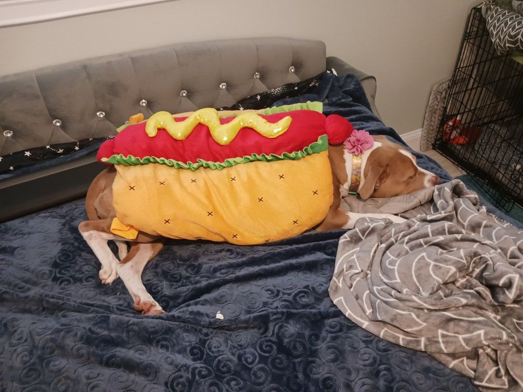 Hotdog Dog Costume